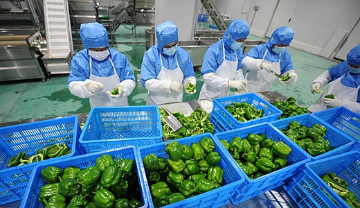 中央廚房設計規范