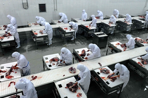 五星級(jí)酒店廚房布局