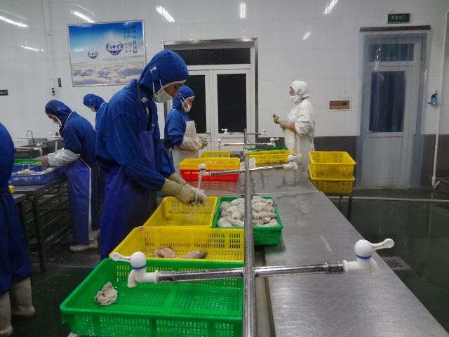 酒店廚房設(shè)備應(yīng)該怎么布置 需要哪些設(shè)備呢